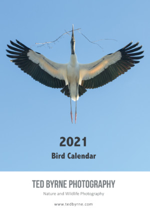 2021 Bird Calendar Cover